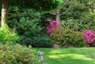 Shailer Parklandscape-gardener-46.jpg; ?>