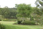 Shailer Parkresidential-landscaping-40.jpg; ?>