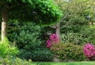 Shailer Parkresidential-landscaping-74.jpg; ?>