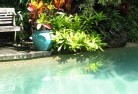 Shailer Parkswimming-pool-landscaping-3.jpg; ?>